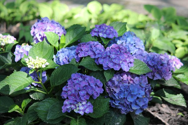 Installation de volets roulants à nantes : votre guide complet